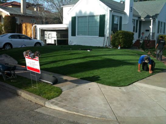 Artificial Grass Photos: Plastic Grass Santa Clara, California Landscape Ideas, Landscaping Ideas For Front Yard