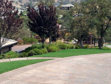 Artificial Grass Photos: Plastic Grass Sierra Village, California Landscape Rock, Front Yard Landscaping