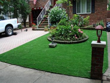 Artificial Grass Photos: Plastic Grass Sonoma, California, Front Yard Landscaping Ideas