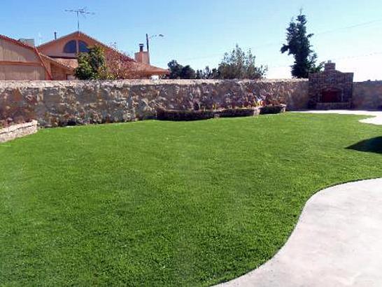 Artificial Grass Photos: Synthetic Grass Boronda, California Design Ideas, Beautiful Backyards