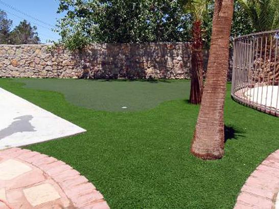 Synthetic Grass Brentwood, California Backyard Playground, Backyard Design artificial grass