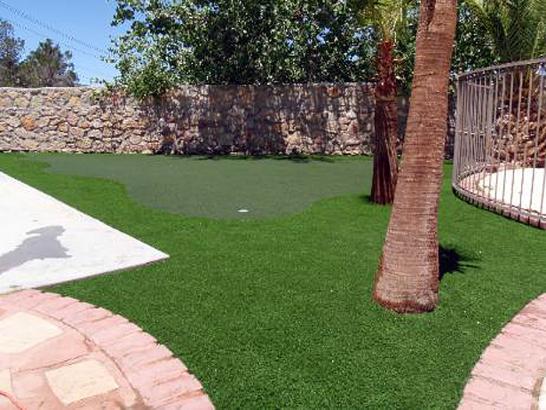 Artificial Grass Photos: Synthetic Grass Brentwood, California Backyard Playground, Backyard Design