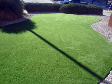 Artificial Grass Photos: Synthetic Grass Chualar, California Backyard Deck Ideas, Landscaping Ideas For Front Yard