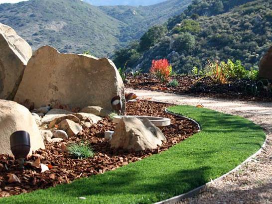 Artificial Grass Photos: Synthetic Grass Cost Ceres, California Design Ideas, Front Yard