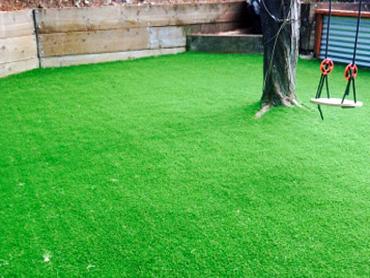 Artificial Grass Photos: Synthetic Grass Cost Dillon Beach, California Garden Ideas, Backyard Design