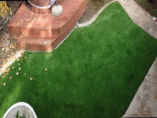 Artificial Grass Photos: Synthetic Grass Cost East Richmond Heights, California Gardeners, Backyards