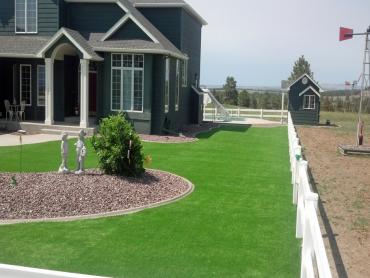 Artificial Grass Photos: Synthetic Grass Cost Inverness, California Lawns, Front Yard