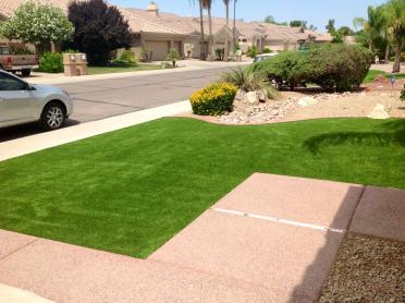 Artificial Grass Photos: Synthetic Grass Cost Lockwood, California Garden Ideas, Front Yard Ideas