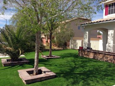 Artificial Grass Photos: Synthetic Grass Cost Lodi, California Design Ideas, Front Yard Landscaping