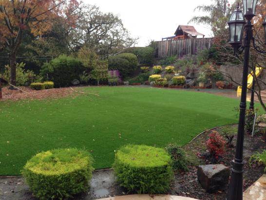 Artificial Grass Photos: Synthetic Grass Cost Los Altos, California Gardeners, Backyards