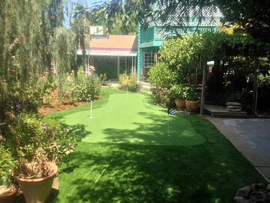 Artificial Grass Photos: Synthetic Grass Cost Mount Hermon, California City Landscape