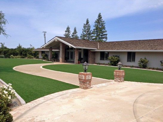 Artificial Grass Photos: Synthetic Grass Cost Nicasio, California Lawns, Front Yard Landscape Ideas