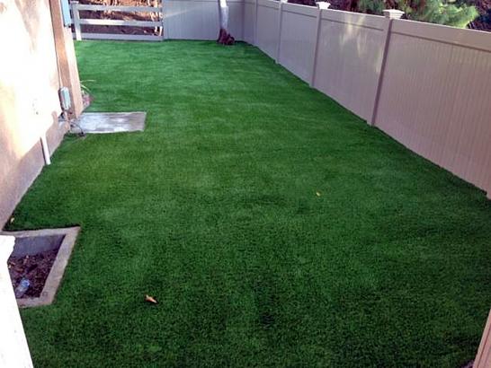 Artificial Grass Photos: Synthetic Grass Cost Ridgemark, California Cat Grass, Backyard Designs