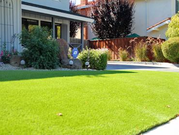 Artificial Grass Photos: Synthetic Grass Cost Robbins, California Lawns, Front Yard