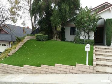 Artificial Grass Photos: Synthetic Grass Coulterville, California Landscaping Business, Front Yard Ideas