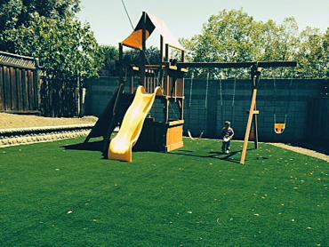 Artificial Grass Photos: Synthetic Grass Elk Grove, California Athletic Playground, Small Backyard Ideas