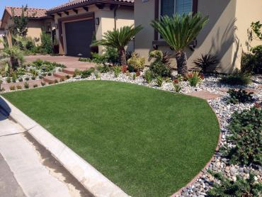 Artificial Grass Photos: Synthetic Grass Mountain View, California Rooftop, Landscaping Ideas For Front Yard