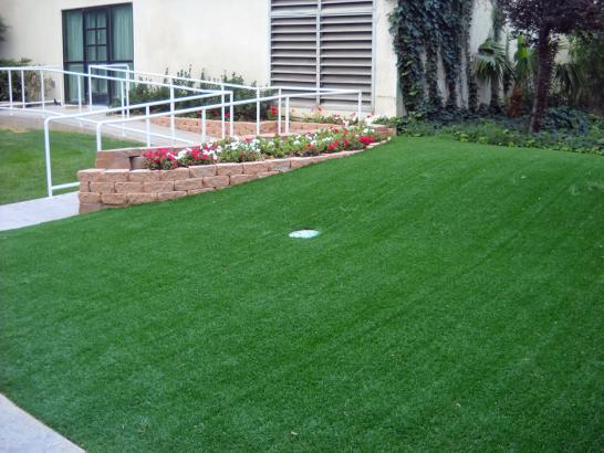 Artificial Grass Photos: Synthetic Grass Tracy, California Putting Green Turf, Front Yard Design