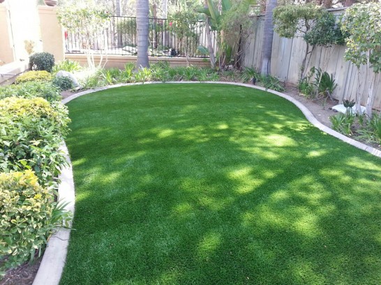 Artificial Grass Photos: Synthetic Grass Wallace, California Landscape Ideas