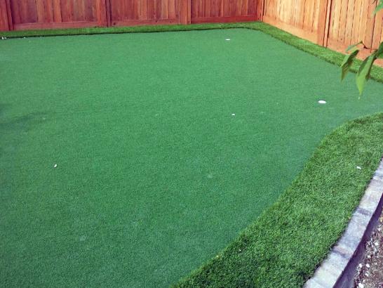 Artificial Grass Photos: Synthetic Lawn Brisbane, California Lawns, Backyard Landscape Ideas