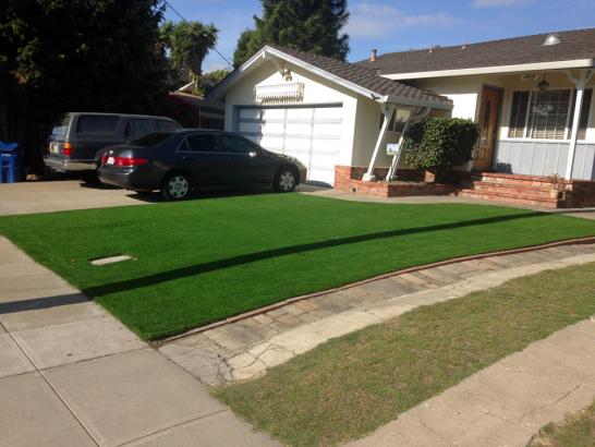 Artificial Grass Photos: Synthetic Lawn Cold Springs, California Design Ideas, Front Yard