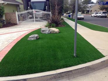 Artificial Grass Photos: Synthetic Lawn Collierville, California Landscape Ideas, Front Yard