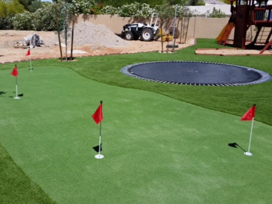 Synthetic Lawn Dillon Beach, California Artificial Putting Greens, Backyard Garden Ideas artificial grass