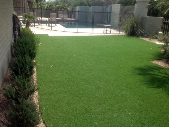 Artificial Grass Photos: Synthetic Lawn Felton, California Landscape Ideas, Backyard Pool