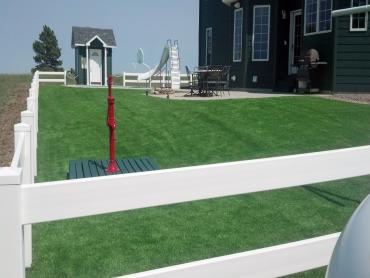 Artificial Grass Photos: Synthetic Lawn Hood, California Backyard Playground, Front Yard