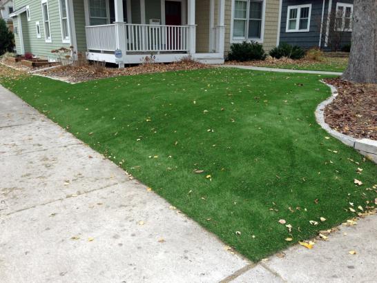 Artificial Grass Photos: Synthetic Lawn Lower Lake, California Backyard Deck Ideas, Front Yard