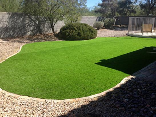 Artificial Grass Photos: Synthetic Lawn Menlo Park, California Rooftop, Backyard Designs