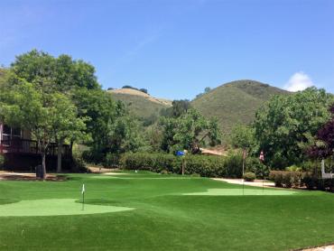 Artificial Grass Photos: Synthetic Lawn Oakley, California Office Putting Green, Small Front Yard Landscaping