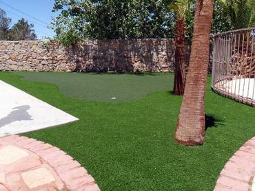 Artificial Grass Photos: Synthetic Lawn Occidental, California Lawn And Garden, Backyard Landscaping