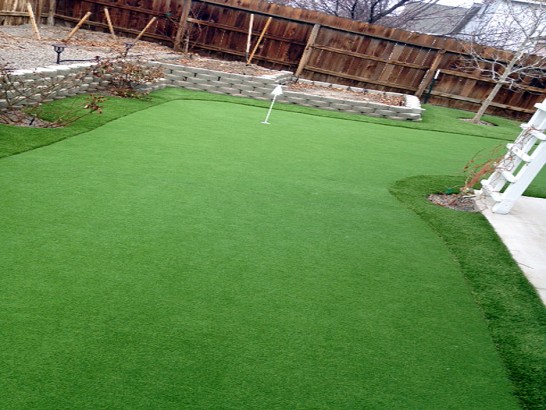 Artificial Grass Photos: Synthetic Lawn Riverbank, California Landscape Design, Backyard