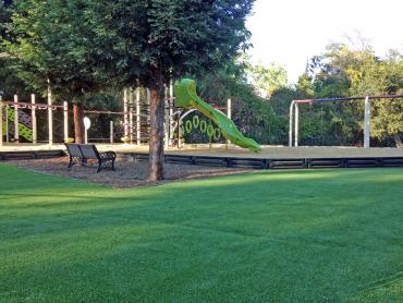 Artificial Grass Photos: Synthetic Lawn Riverdale Park, California Kids Indoor Playground, Recreational Areas