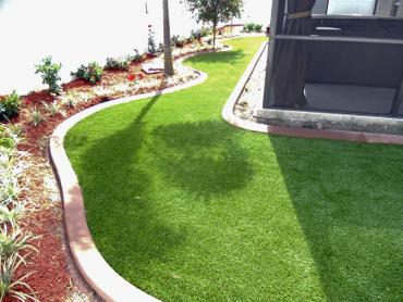 Artificial Grass Photos: Synthetic Lawn San Geronimo, California Landscape Ideas, Beautiful Backyards