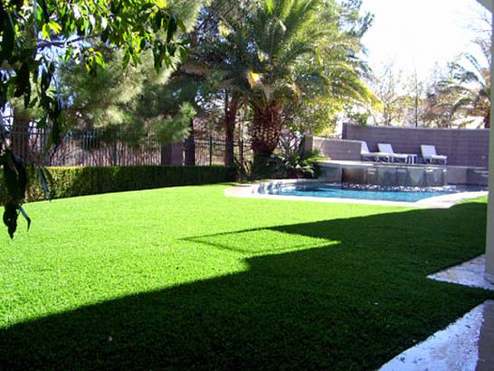 Artificial Grass Photos: Synthetic Lawn San Lorenzo, California Landscaping, Backyard Garden Ideas