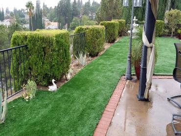 Artificial Grass Photos: Synthetic Lawn San Lucas, California Landscaping Business, Backyard Designs