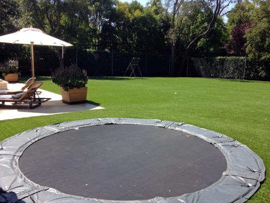 Artificial Grass Photos: Synthetic Lawn Sunol, California Lawns, Pool Designs