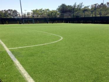 Artificial Grass Photos: Synthetic Lawn Walnut Creek, California Sports Turf