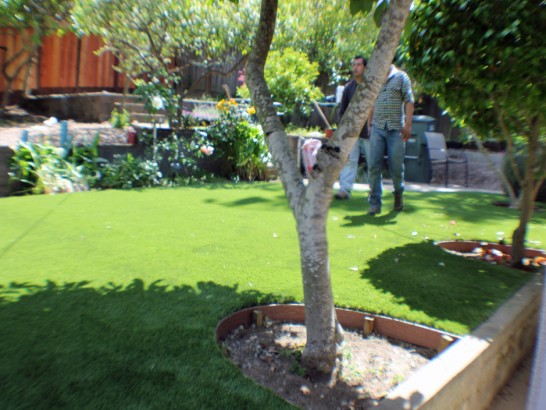 Artificial Grass Photos: Synthetic Lawn Winton, California Landscape Rock, Backyard Design