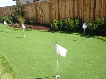 Artificial Grass Photos: Synthetic Lawn Woodland, California How To Build A Putting Green, Backyard