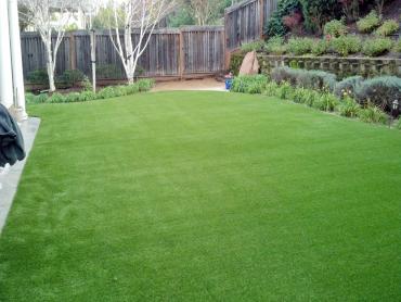 Artificial Grass Photos: Synthetic Turf Acampo, California Landscape Rock, Backyard Garden Ideas