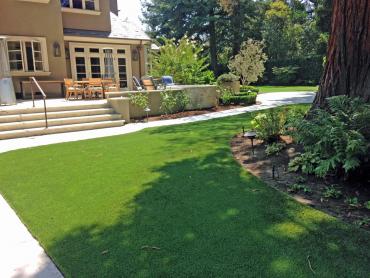 Artificial Grass Photos: Synthetic Turf Alto, California Landscaping, Backyard