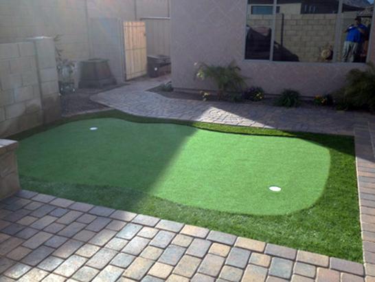 Artificial Grass Photos: Synthetic Turf Bay Point, California Putting Green Turf, Backyard Makeover