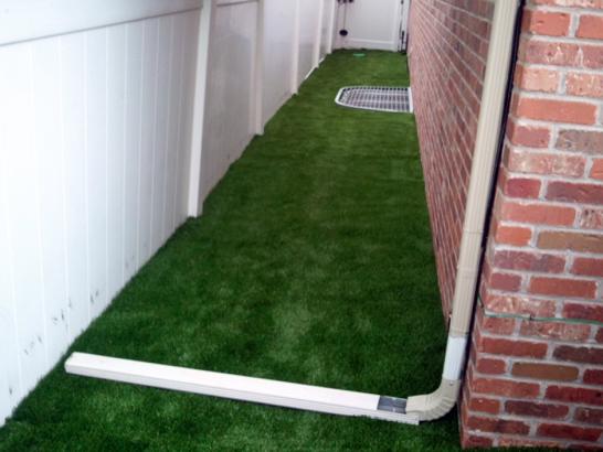 Artificial Grass Photos: Synthetic Turf Bootjack, California Roof Top, Backyard Design