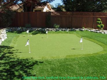 Synthetic Turf Cambrian Park, California City Landscape, Backyard Design artificial grass