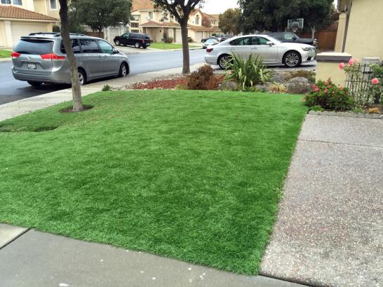 Artificial Grass Photos: Synthetic Turf Clyde, California Garden Ideas, Small Front Yard Landscaping