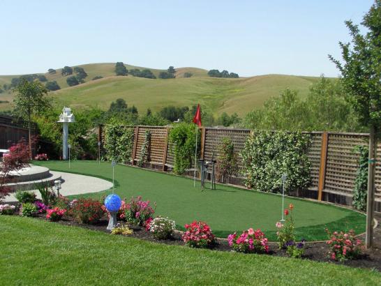 Artificial Grass Photos: Synthetic Turf Concord, California Putting Green Flags, Backyard Design