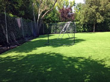 Artificial Grass Photos: Synthetic Turf Dogtown, California Lawn And Landscape, Backyard Landscaping